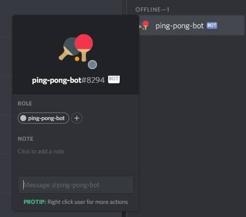 Discord Ping Pong Bot in Server