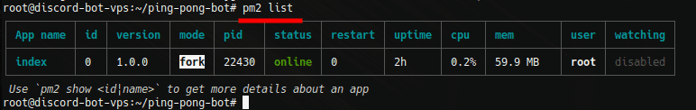Linux Command Line Console - Pm2 (Process Manager 2) List Command Executed