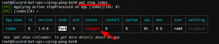 Linux Command Line Console - Pm2 (Process Manager 2) Stop Command Executed